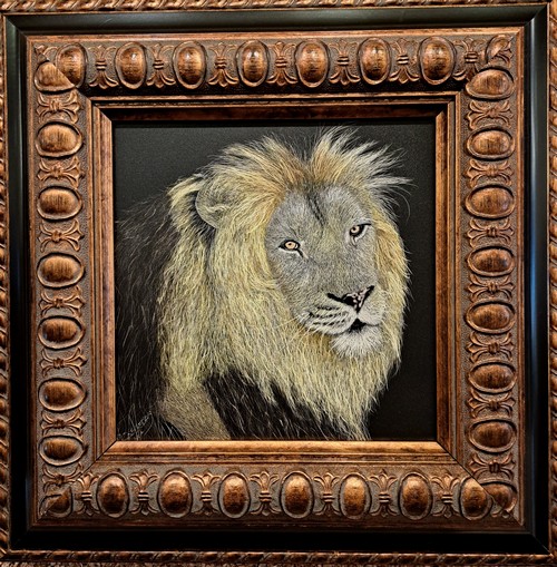 Bahati, Denver Zoo 8x8 $320 at Hunter Wolff Gallery